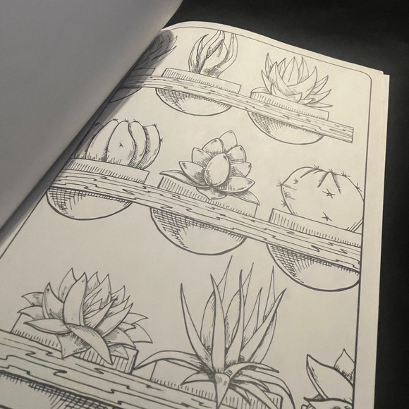 Contemporary Coloring Succulents ( coloring book )New - Picture 3 of 8